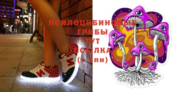 таблы Аркадак